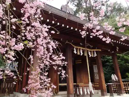 飛鳥坐神社の本殿