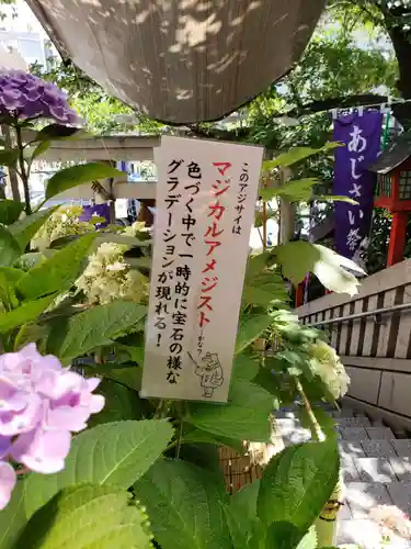 十番稲荷神社の自然