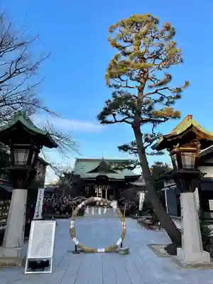 桜神宮(東京都)