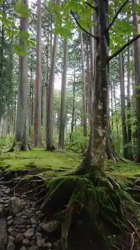 古峯神社の自然