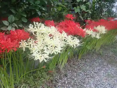 元三島神社(東京都)
