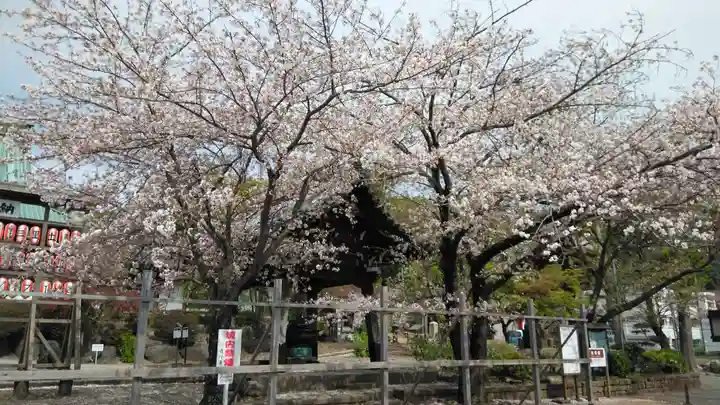 時宗総本山 遊行寺(正式:清浄光寺)(神奈川県)