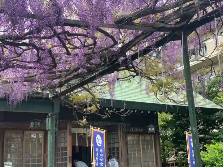 國領神社の庭園