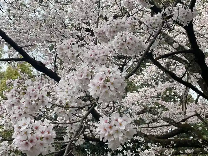 嚴島神社 (京都御苑)(京都府)