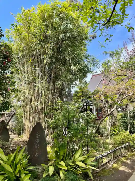 本行寺(東京都)