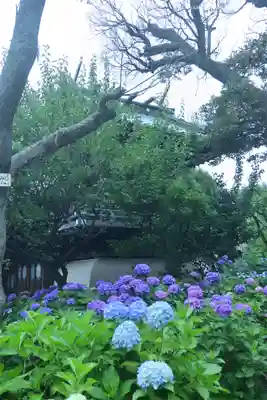 白山神社(東京都)