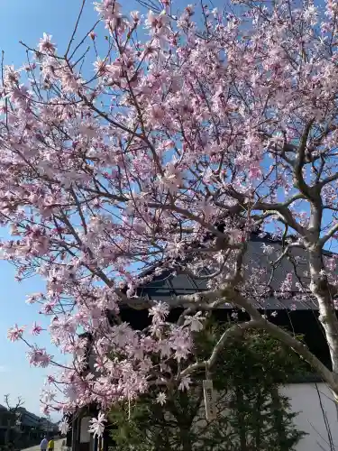 白鳥神社(長野県)