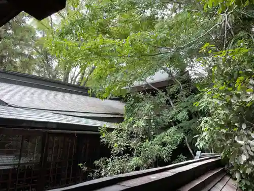 姫路神社(兵庫県)