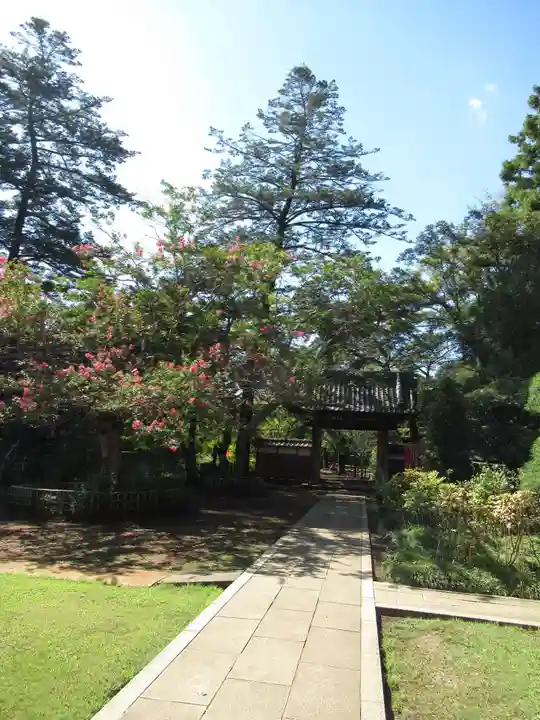 金乘院(千葉県)