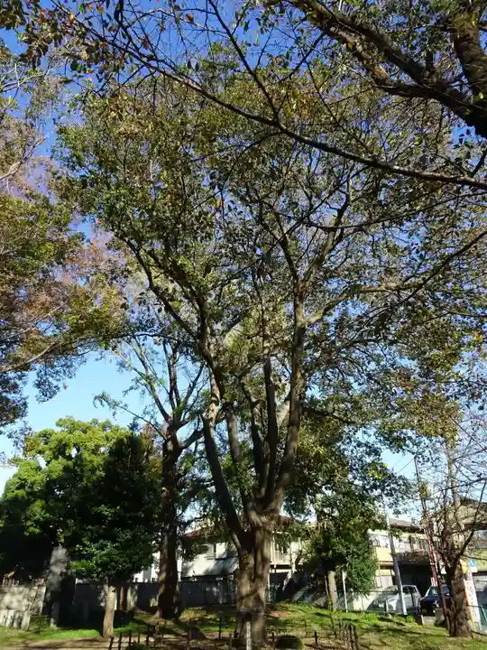春日神社の自然