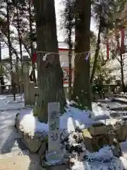 六甲山神社の自然