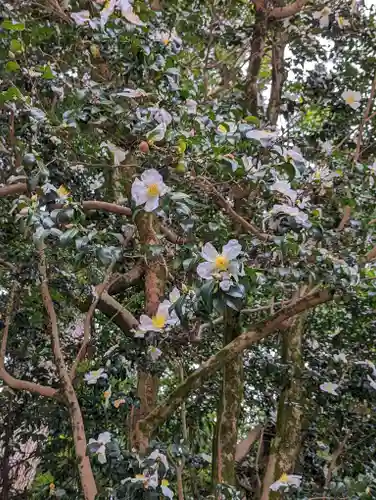 八大神社の自然