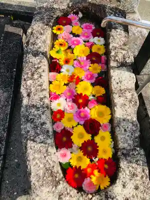 金井神社の手水舎