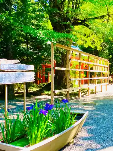 香取神宮(千葉県)