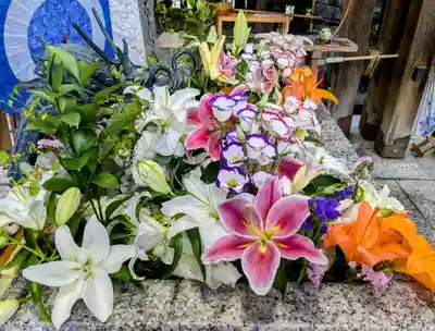 札幌諏訪神社の手水舎