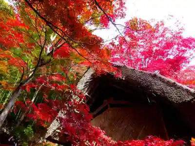 教林坊(滋賀県)