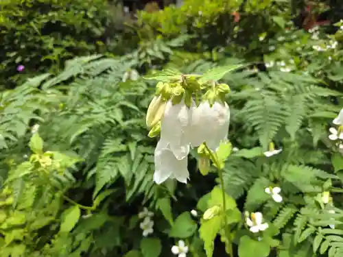 栄国寺(愛知県)