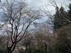 大宮温泉神社(栃木県)(2023年03月28日(火) 08時03分32秒投稿)