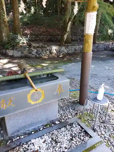 白鳥神社の手水