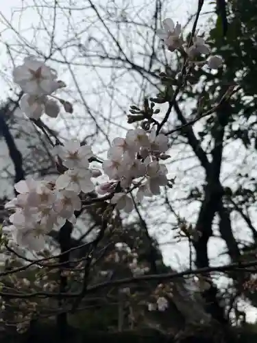 猿江神社の{uncategorized: "未分類", other: "その他", undefined: "問題あり", building: "その他建物", grave: "お墓", sacred_gate: "鳥居", guardian: "狛犬", statue: "像", buddha: "仏像", history: "歴史", nature: "自然", garden: "庭園", animal: "動物", pagoda: "塔", temizu: "手水舎", mountain_gate: "山門・神門", sanctuary: "本殿・本堂", subordinate: "末社・摂社", art: "芸術", scenery: "景色", jizo: "地蔵", ema: "絵馬", goshuin: "御朱印", omikuji: "おみくじ", items: "授与品その他", amulet: "お守り", goshuincho: "御朱印帳", eats: "食事", festival: "お祭り", votive_dance: "神楽", shichigosan: "七五三参", wedding: "結婚式", experience: "体験その他", initially: "初詣", around: "周辺", anti_infection: "感染症対策"}