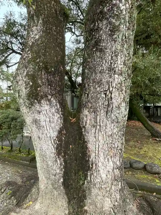 若宮神明社(愛知県)