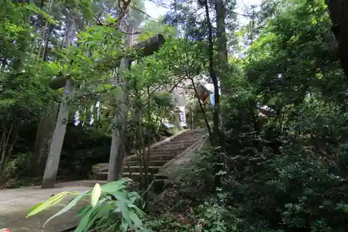 日枝神社の鳥居