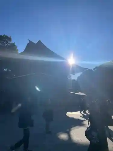 明治神宮(東京都)