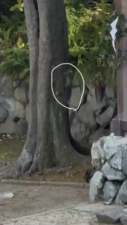 伊勢山皇大神宮の{uncategorized: "未分類", other: "その他", undefined: "問題あり", building: "その他建物", grave: "お墓", sacred_gate: "鳥居", guardian: "狛犬", statue: "像", buddha: "仏像", history: "歴史", nature: "自然", garden: "庭園", animal: "動物", pagoda: "塔", temizu: "手水舎", mountain_gate: "山門・神門", sanctuary: "本殿・本堂", subordinate: "末社・摂社", art: "芸術", scenery: "景色", jizo: "地蔵", ema: "絵馬", goshuin: "御朱印", omikuji: "おみくじ", items: "授与品その他", amulet: "お守り", goshuincho: "御朱印帳", eats: "食事", festival: "お祭り", votive_dance: "神楽", shichigosan: "七五三参", wedding: "結婚式", experience: "体験その他", initially: "初詣", around: "周辺", anti_infection: "感染症対策"}