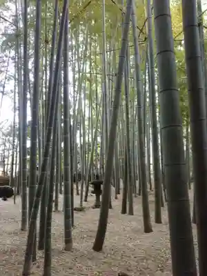 報国寺(神奈川県)