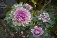 豊景神社の庭園