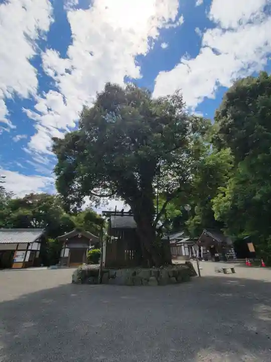 多度大社の自然