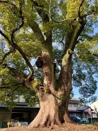 軍神社(静岡県)