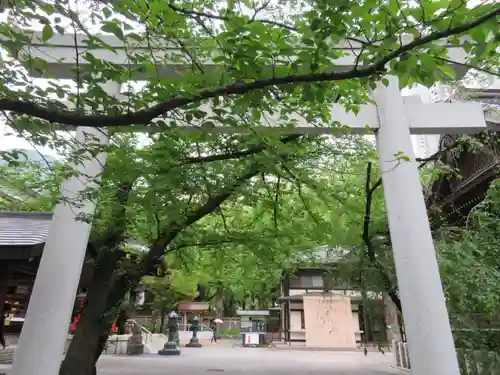 熊野神社の鳥居