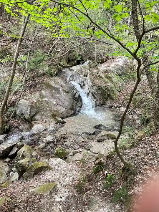 猿投神社の自然