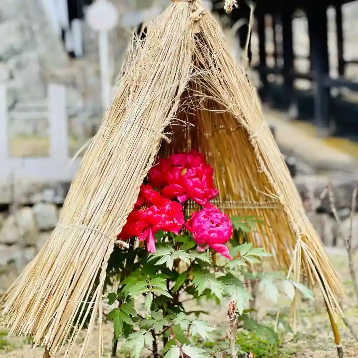 長谷寺(奈良県)