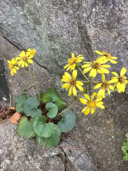 神蔵寺(愛知県)
