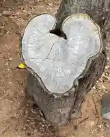 大谷地神社(北海道)