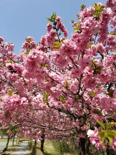 滑川神社 - 仕事と子どもの守り神(福島県)