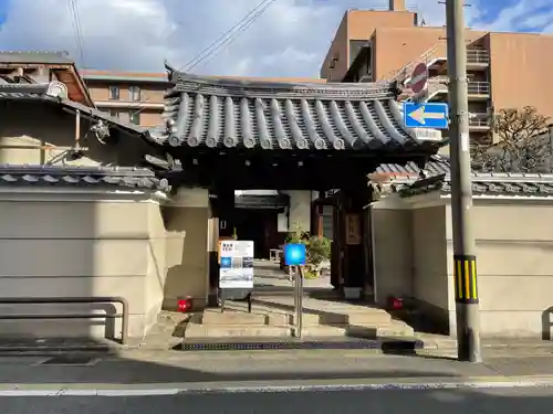 松陽院の山門