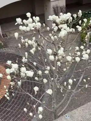 雪御所地蔵尊(兵庫県)