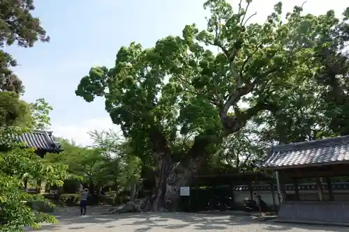 粉河寺の景色