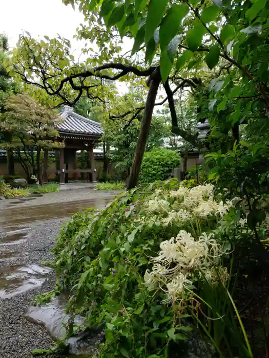 世尊院の建物その他