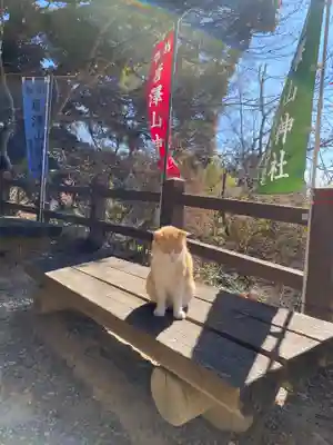 唐澤山神社(栃木県)