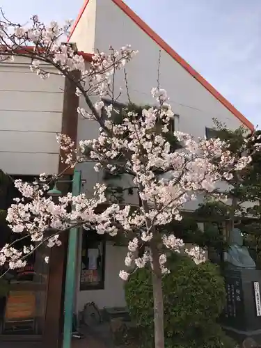 荒井神社(兵庫県)