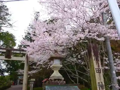 川田神社(滋賀県)