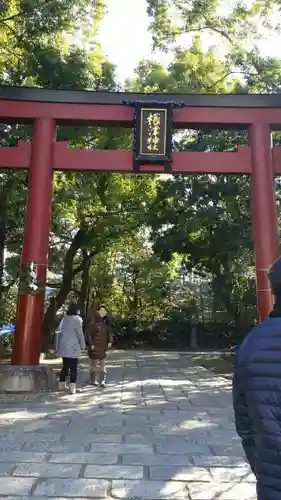 根津神社の鳥居