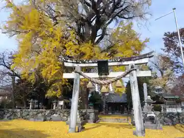 天川命神社(滋賀県)