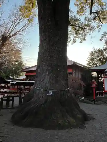 冠稲荷神社(群馬県)