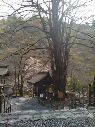 貴船神社(京都府)