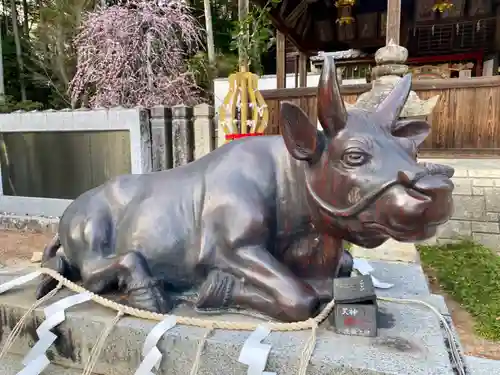 若狭野天満神社の狛犬